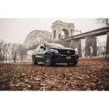 MAZZANTI M262 - NICHE