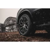 MAZZANTI M262 - NICHE