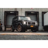MAZZANTI M263 - NICHE
