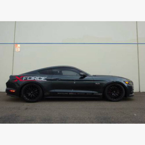 Tein S-Tech Springs para parad Mustang (15-23) (-45/-40 mm)