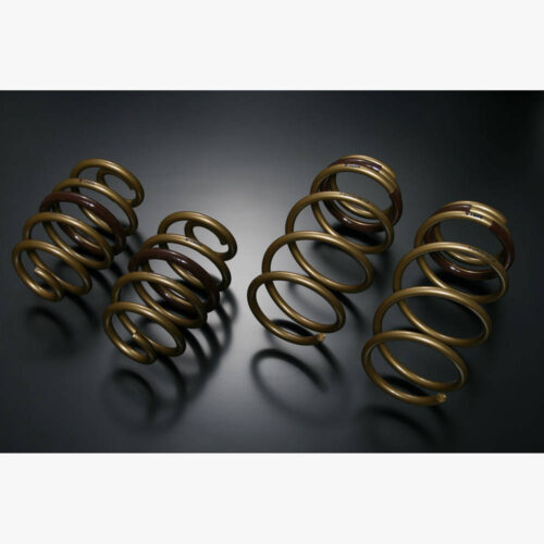Tein High Tech Springs para Nissan Leaf